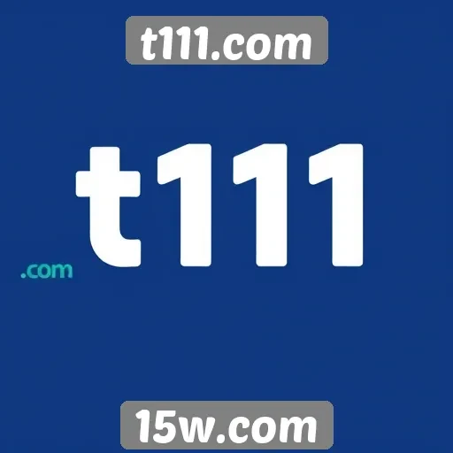 Avaliação da experiência do usuário no site t111.com